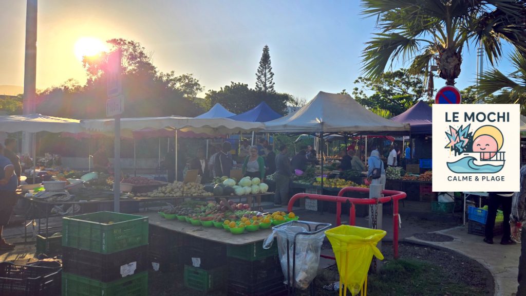 Mochi La Réunion – Saint-Pierre le marché forain
