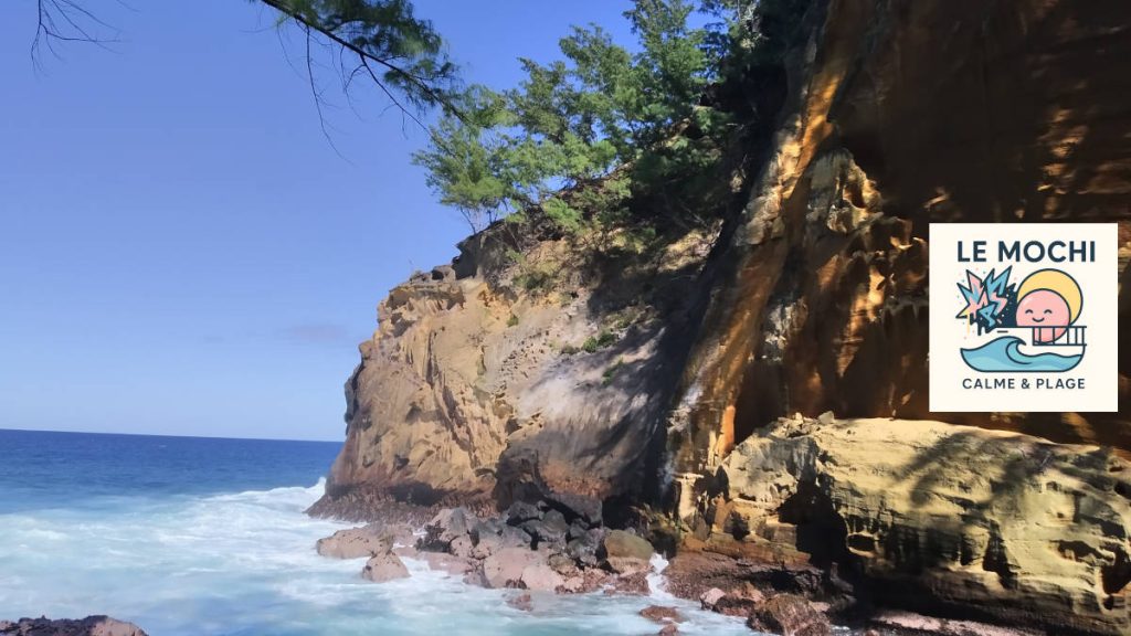 Mochi La Réunion – Vincendo - Le Cap Jaune