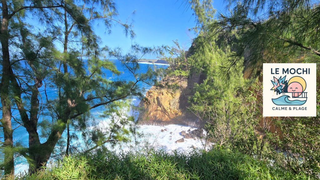 Mochi La Réunion – Vincendo - fin de la randonnée Cap Jaune