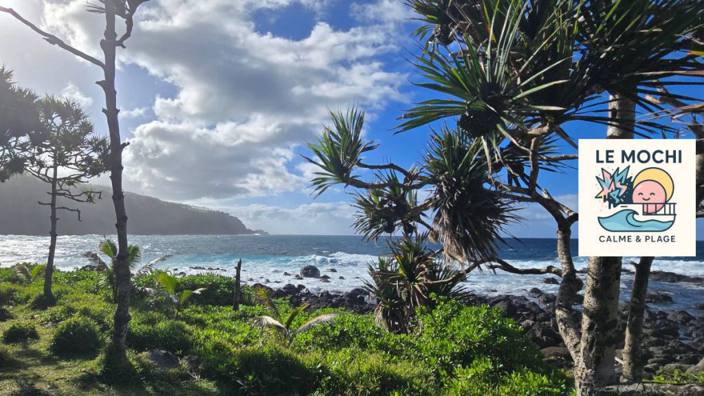 Mochi La Réunion – Vincendo - randonnée Cap Jaune depuis la Marine
