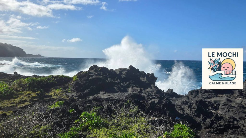 Mochi La Réunion – Vincendo - randonnée Cap Jaune le long des falaises